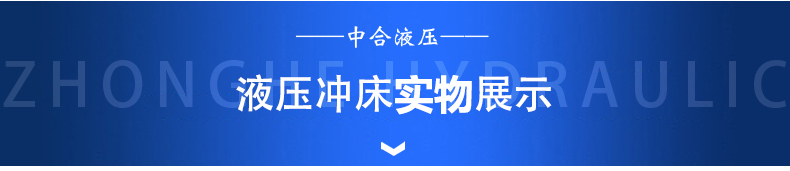 100柔性液壓沖床(圖1)